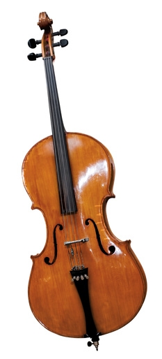 cello unterricht muenchen